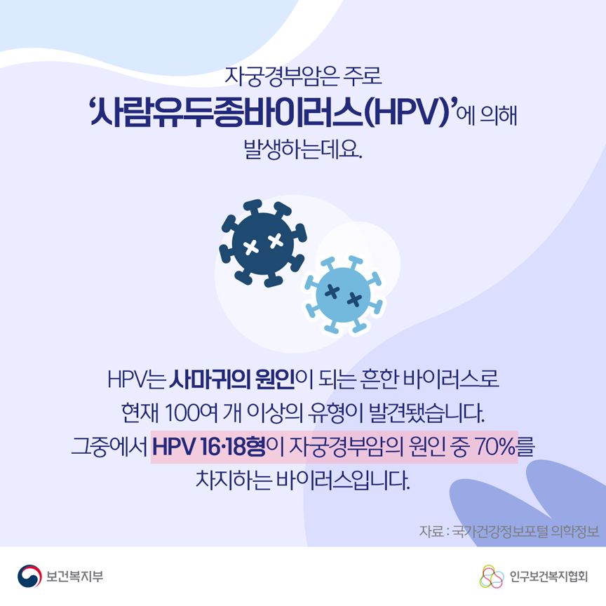 자궁경부암은 주로 '사람유두종바이러스(HPV)'에 의해 발생하는데요. HPV는 사마귀의 원인이 되는 흔한 바이러스로 현재 100여 개 이상의 유형이 발견됐습니다. 그중에서 HPV 16∙18형이 자궁경부암의 원인 중 70%를 차지하는 바이러스입니다. 보건복지부로고,인구보건복지협회로고