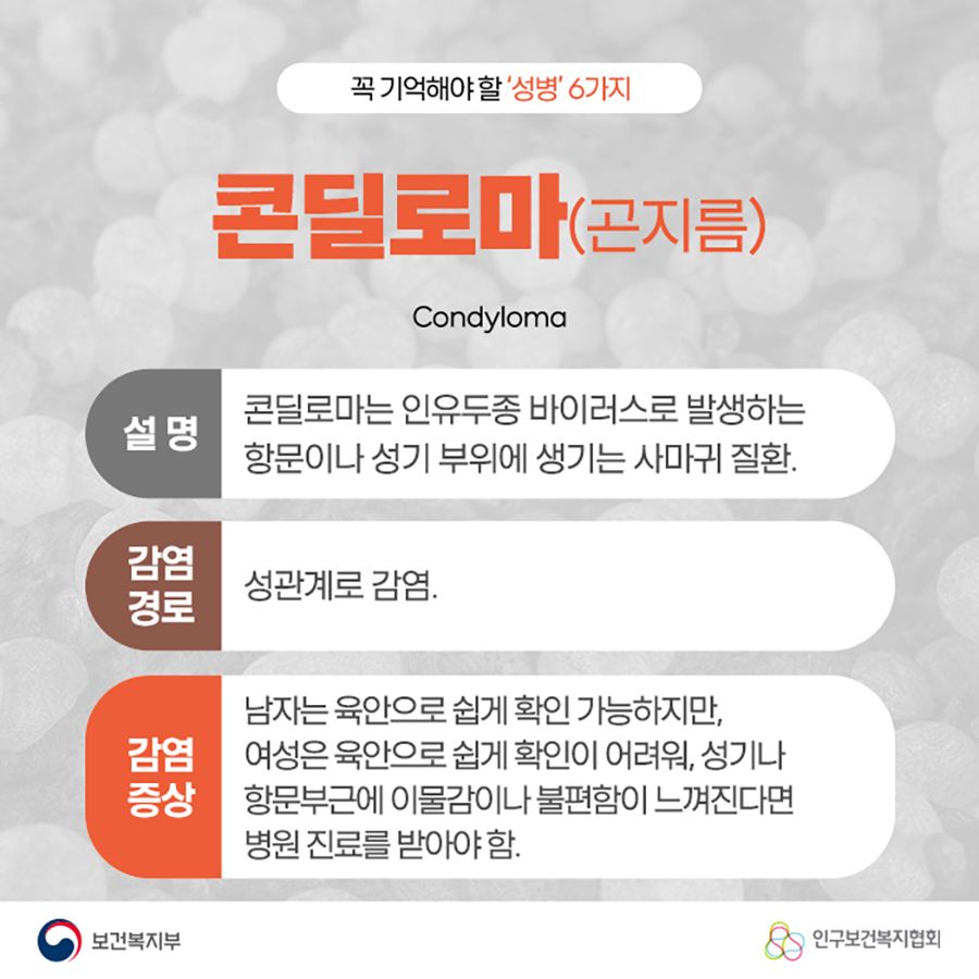 콘딜로마(곤지름) Condyloma 설명 : 콘딜로마는 인유두종 바이러스로 발생하는 항문이나 성기 부위에 생기는 사마귀 질환. 감염 경로 : 성관계로 감염. 감염 증상 : 남자는 육안으로 쉽게 확인 가능하지만, 여성은 육안으로 쉽게 확인이 어려워, 성기나 항문 부근에 이물감이나 불편함이 느껴진다면 병원 진료를 받아야 함.