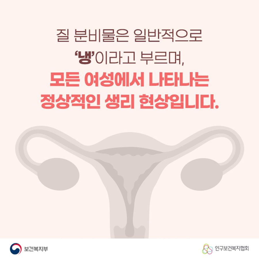 질 분비물은 일반적으로 '냉'이라고 부르며, 모든 여성에서 나타나는 정상적인 생리 현상입니다.