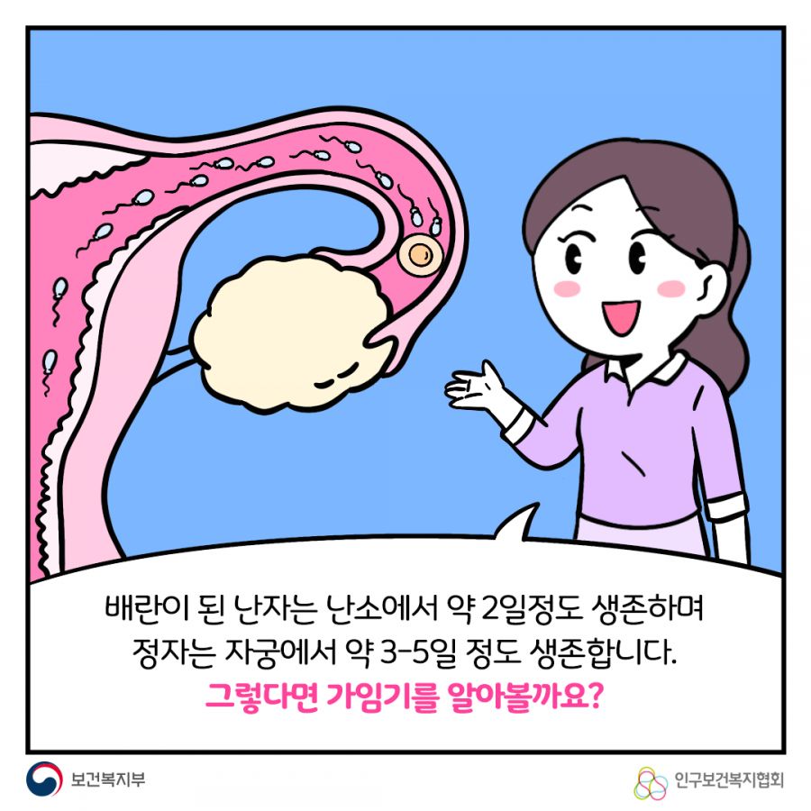 배란이 된 난자는 난소에서 약 2일정도 생존하며 정자는 자궁에서 약 3-5일 정도 생존합니다. 그렇다면 가임기를 알아볼까요? 보건복지부로고,인구보건복지협회로고